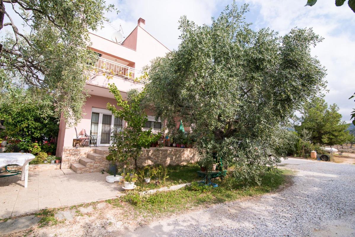 Studios Koula 2-Koula Potos Exterior foto
